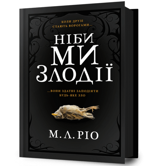 Артбукс Ніби ми злодії
