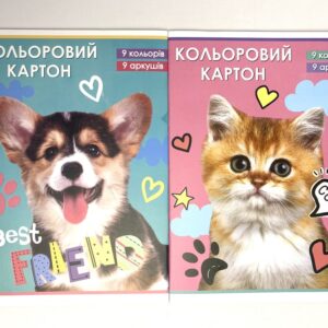 Картон кольоровий Руслан одноосторонній А4 9 аркушів