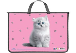 Портфель пластиковий MAXI А4 на блискавці MX30062 - АСОРТІ
