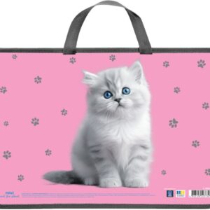 Портфель пластиковий MAXI А4 на блискавці MX30062 - АСОРТІ