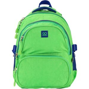Рюкзак шкільний GoPack Education GO17-100M-2