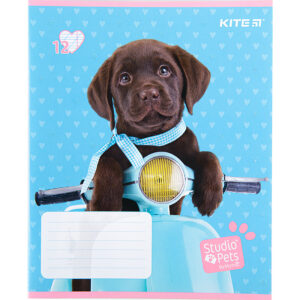 Зошит шкільний Kite Studio Pets 12 аркушів, коса лінія SP22-235