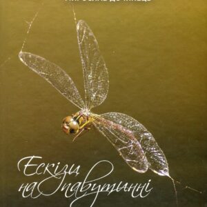 Книга Ескізи на павутинні - Мирослав Дочинець