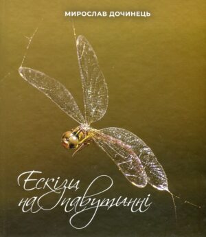 Книга Ескізи на павутинні - Мирослав Дочинець